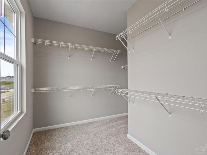 2091 Sunflower Place, Batavia, OH 45103 Photo 20