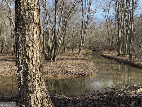 0 Neely Road, Sharpsburg, GA 30277