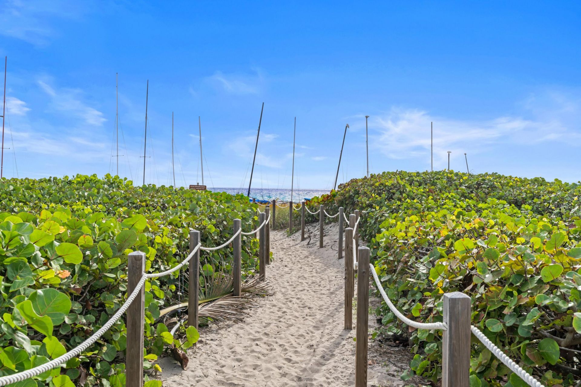 135 N Cannery Row Circle, Delray Beach, FL 33444 Photo