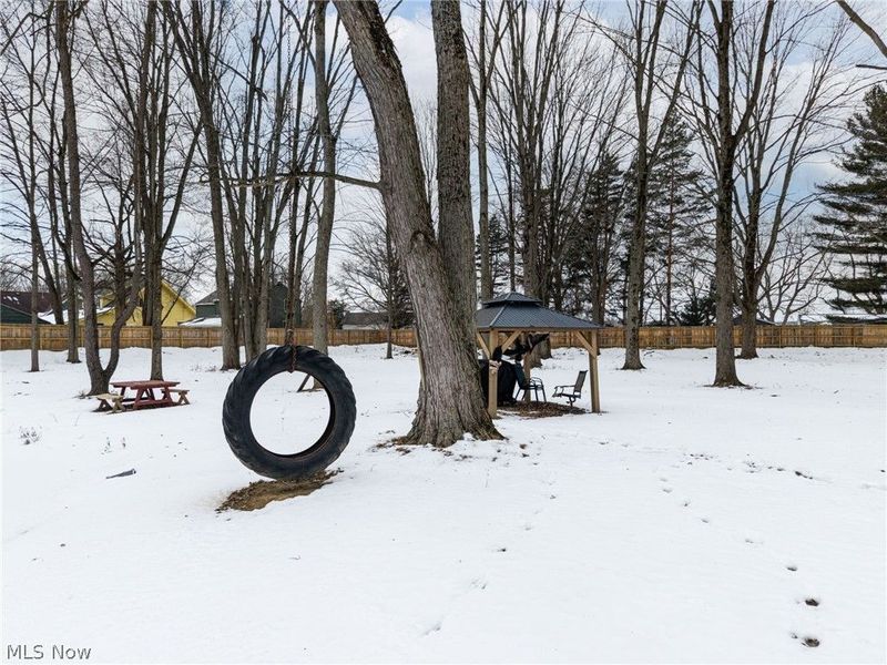 197 N Main Street, West Salem, OH 44287 Photo 11