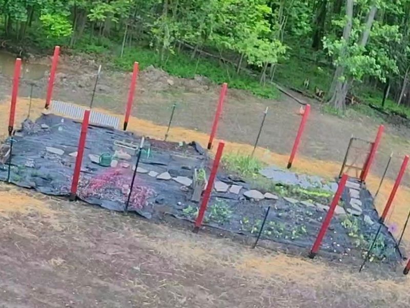 197 N Main Street, West Salem, OH 44287 Photo 44