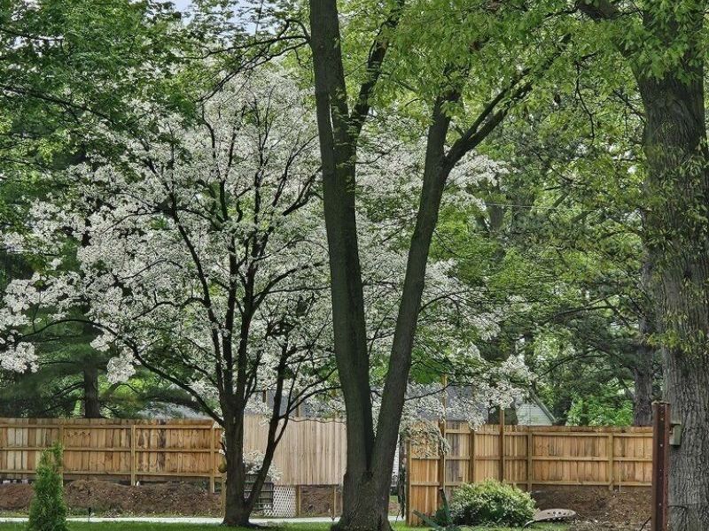 197 N Main Street, West Salem, OH 44287 Photo 46