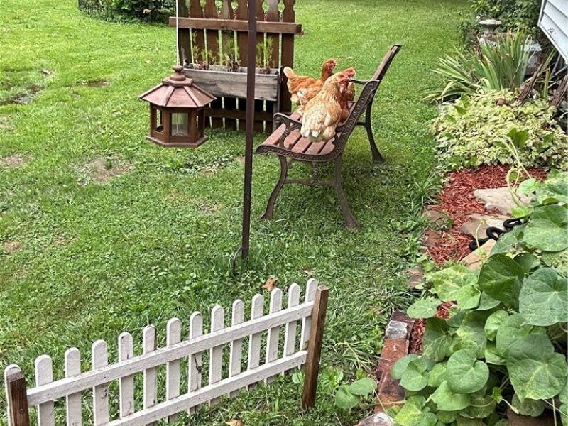 197 N Main Street, West Salem, OH 44287 Photo 47