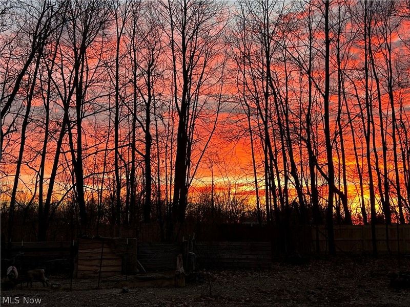 197 N Main Street, West Salem, OH 44287 Photo 49