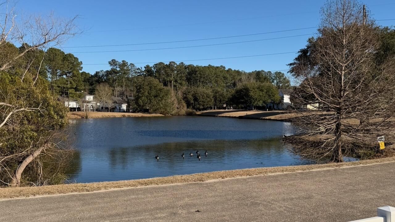 105 Hyacinth Street Photo 27