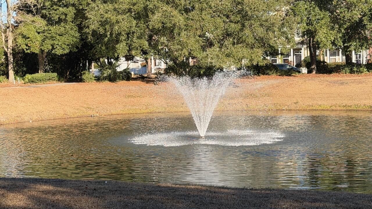 105 Hyacinth Street Photo 33