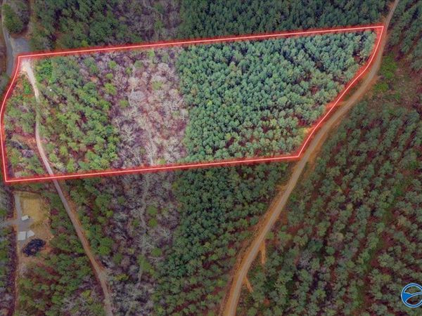 10 Acres Mountain Drive, Remlap, AL 35133