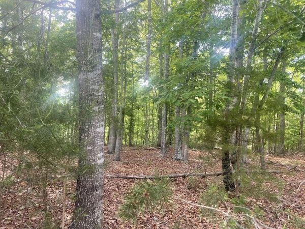 Lot 19 ROBIN RIDGE CT , Pittsville, VA 24139