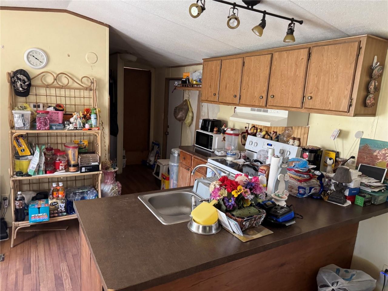 18110 Spangler Avenue, Brooksville, FL 34604 Photo