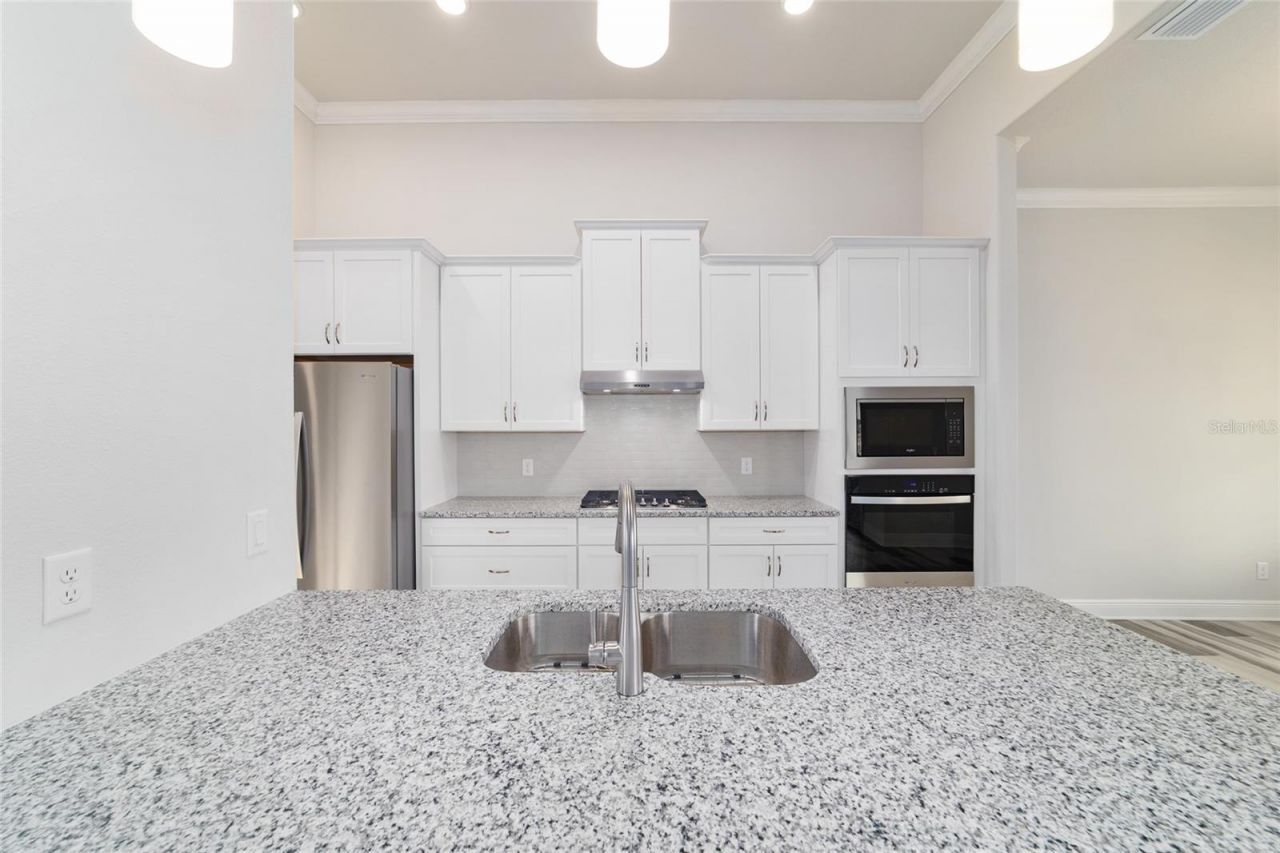 1499 E Pegasus Lane, Inverness, FL 34453 Photo