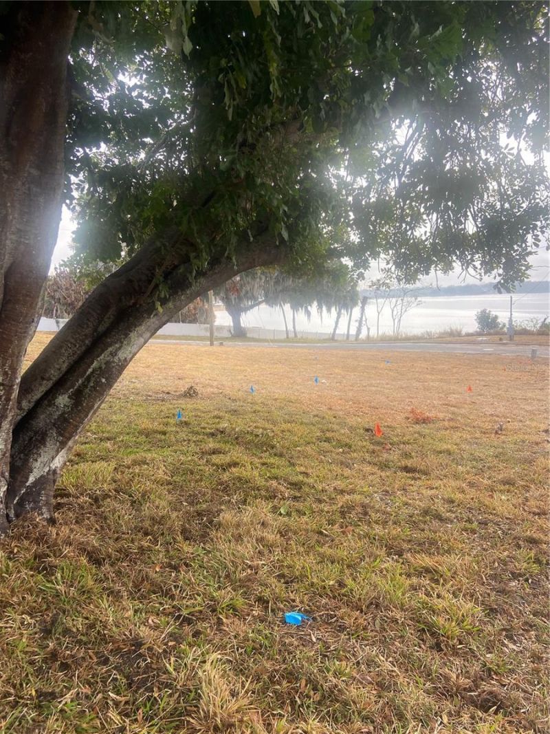 787 E Central Avenue, Eagle Lake, FL 33839 Photo