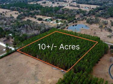 NW 170TH STREET, REDDICK, FL 32686