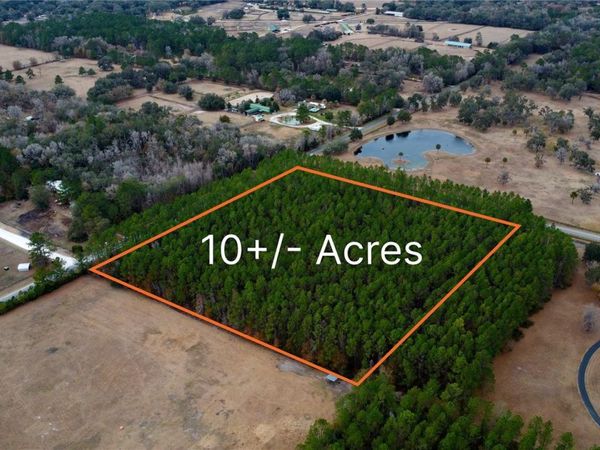 NW 170TH STREET, REDDICK, FL 32686