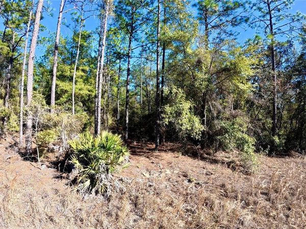 SOUTHWEST 38TH PLACE, OCALA, FL 34481