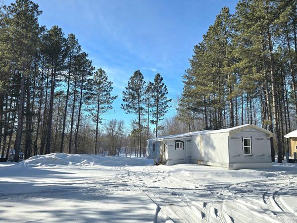 3193 Town Road 397, International Falls, MN 56649