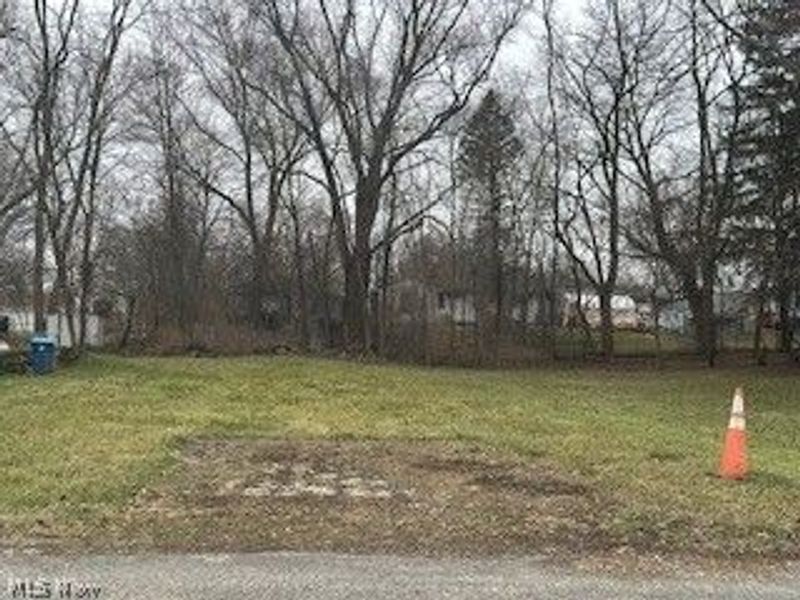 360 James Avenue, Akron, OH 44312 Photo 4