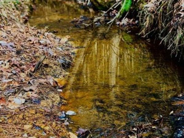 TBD (Lot 59) County Road 1060 , Center, TX 75935