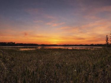 8335 FLORIDA BOYS RANCH ROAD, GROVELAND, FL 34736