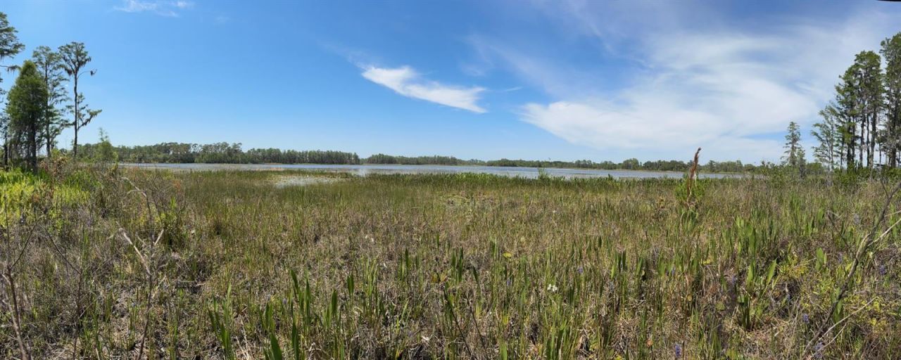 8335 Florida Boys Ranch Road, Groveland, FL 34736 Photo