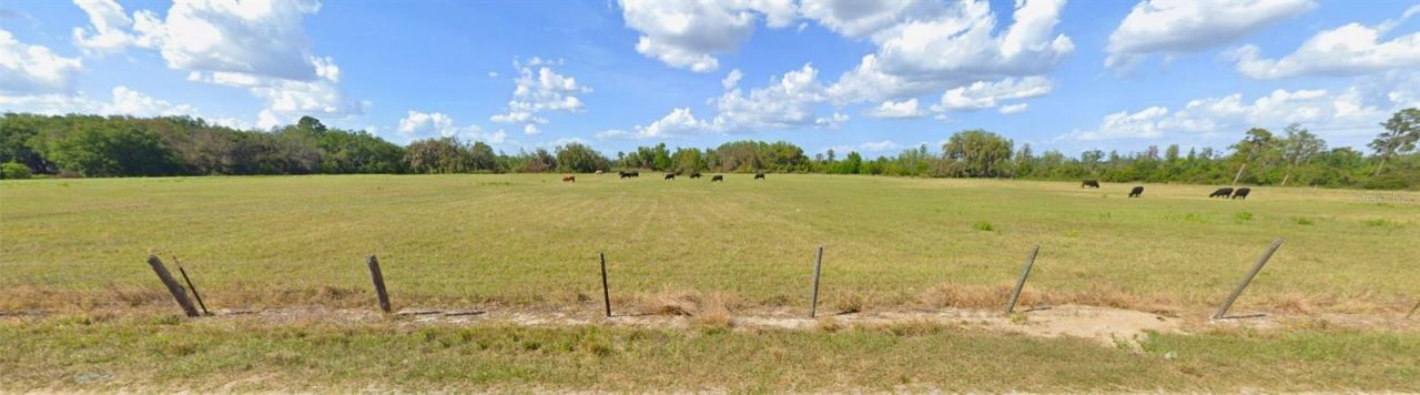 8335 Florida Boys Ranch Road, Groveland, FL 34736 Photo