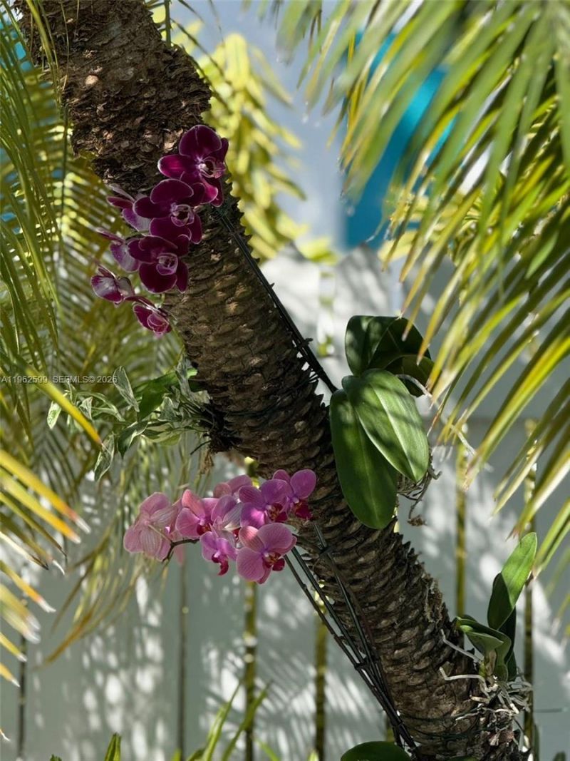 1503 Johnson St, Key West, FL 33040 Photo