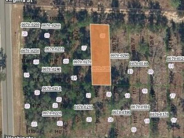 133 W Virginia Street, Hawthorne, FL 32640