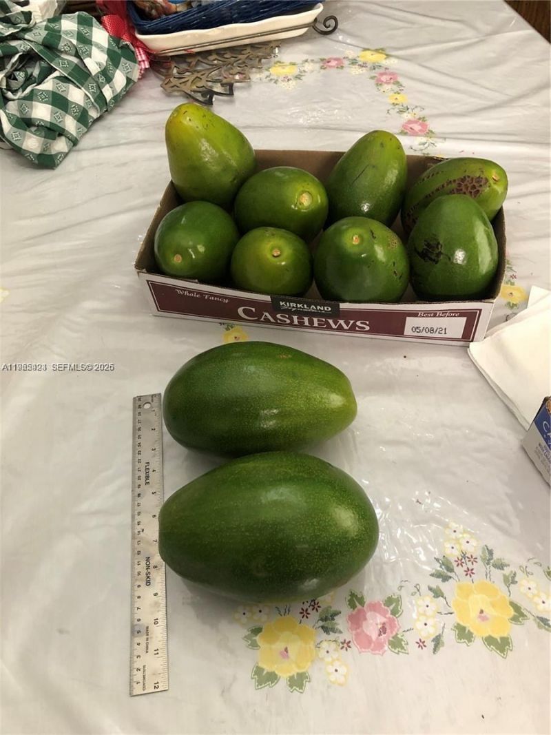 3740 W 5th Ct, Hialeah, FL 33012 Photo