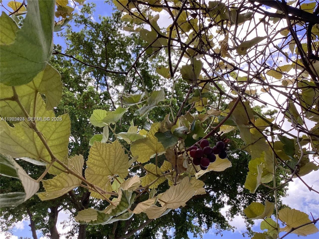 3740 W 5th Ct, Hialeah, FL 33012 Photo