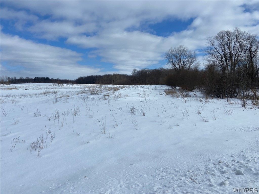 4663 Freeman Road, Middleport, NY 14103 Main Photo