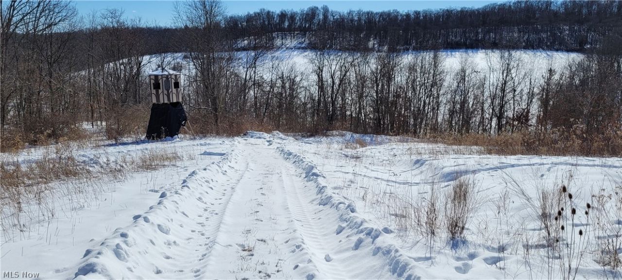 33480 County Road 99, Warsaw, OH 43844 Main Photo