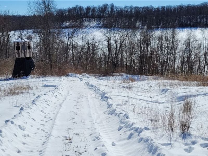 33480 County Road 99, Warsaw, OH 43844 Photo 1