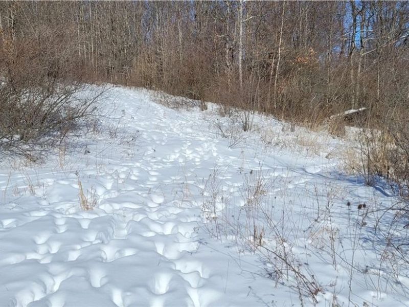 33480 County Road 99, Warsaw, OH 43844 Photo 12