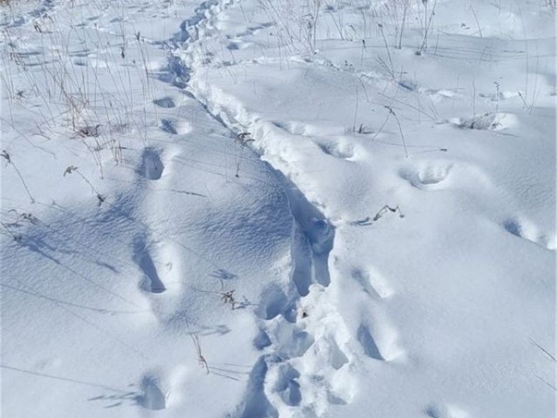 33480 County Road 99, Warsaw, OH 43844 Photo 15