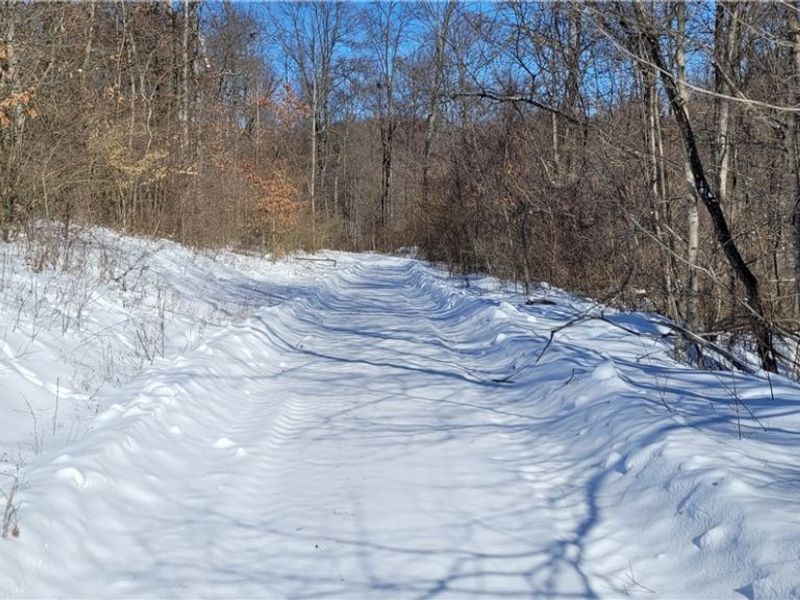 33480 County Road 99, Warsaw, OH 43844 Photo 16