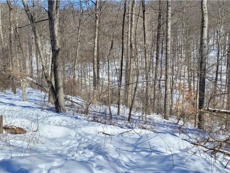 33480 County Road 99, Warsaw, OH 43844 Photo 17