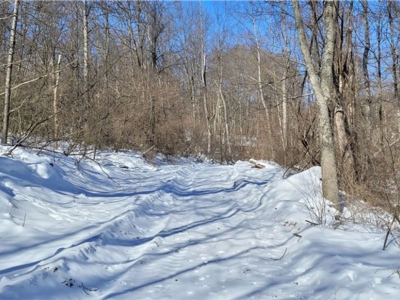 33480 County Road 99, Warsaw, OH 43844 Photo 18