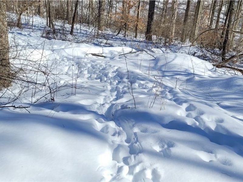 33480 County Road 99, Warsaw, OH 43844 Photo 19