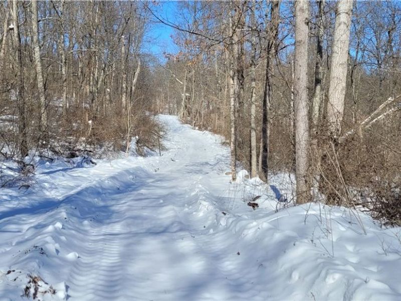 33480 County Road 99, Warsaw, OH 43844 Photo 20