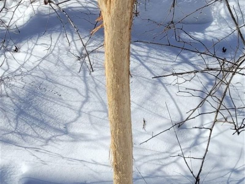 33480 County Road 99, Warsaw, OH 43844 Photo 21