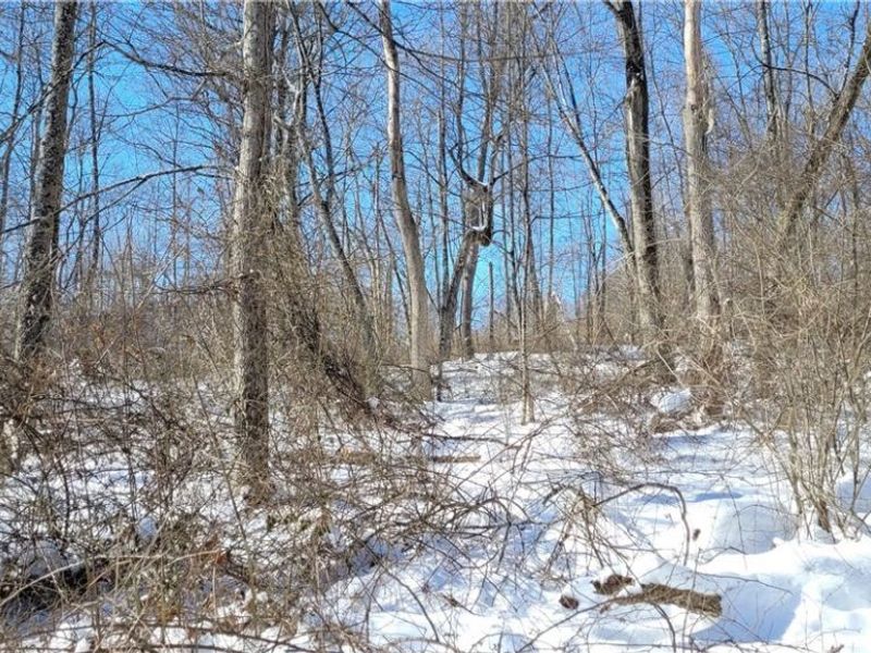 33480 County Road 99, Warsaw, OH 43844 Photo 23