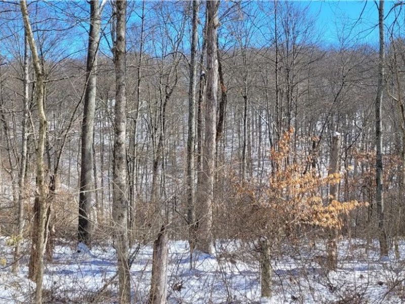 33480 County Road 99, Warsaw, OH 43844 Photo 24