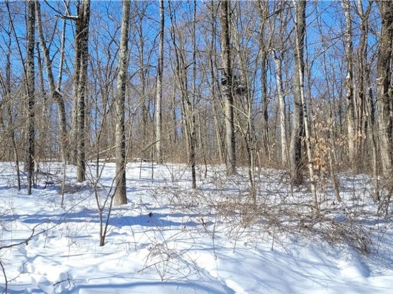 33480 County Road 99, Warsaw, OH 43844 Photo 25