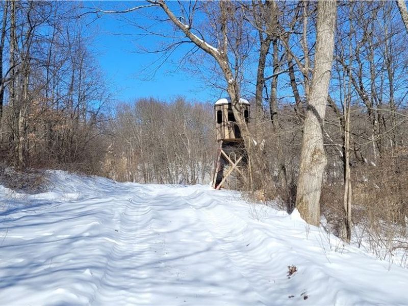 33480 County Road 99, Warsaw, OH 43844 Photo 26