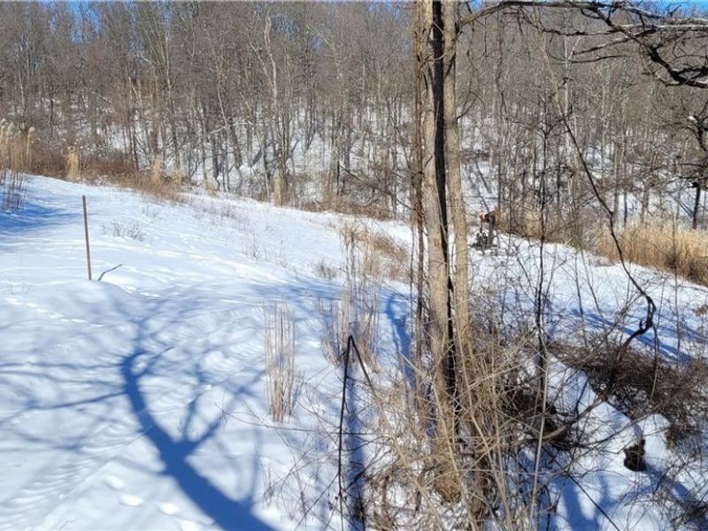 33480 County Road 99, Warsaw, OH 43844 Photo 28