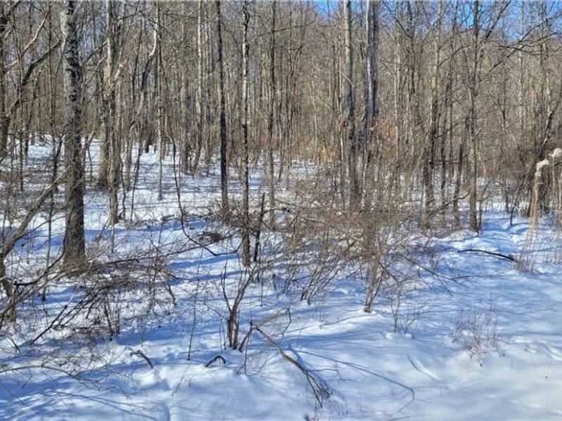 33480 County Road 99, Warsaw, OH 43844 Photo 29