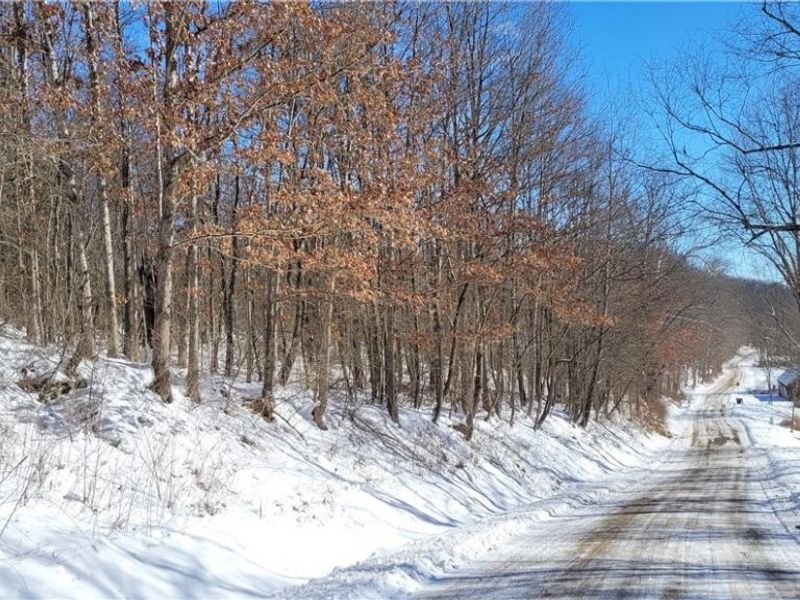 33480 County Road 99, Warsaw, OH 43844 Photo 3