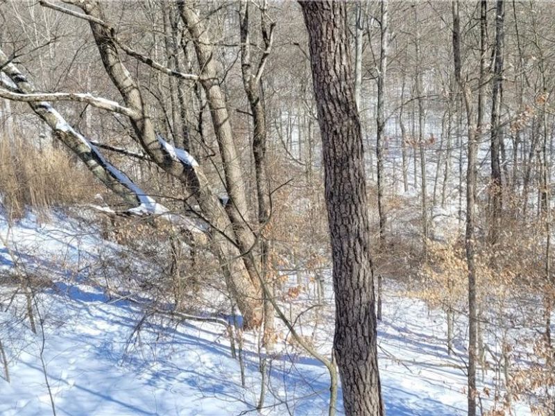 33480 County Road 99, Warsaw, OH 43844 Photo 30