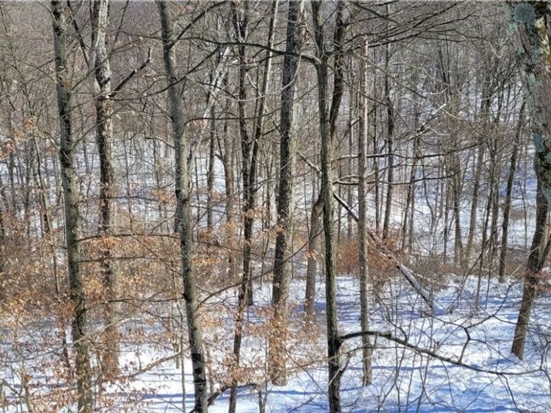 33480 County Road 99, Warsaw, OH 43844 Photo 31