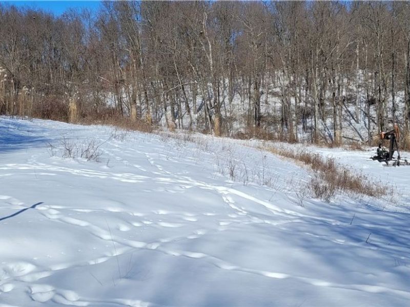 33480 County Road 99, Warsaw, OH 43844 Photo 34