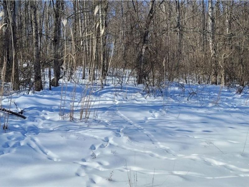 33480 County Road 99, Warsaw, OH 43844 Photo 35